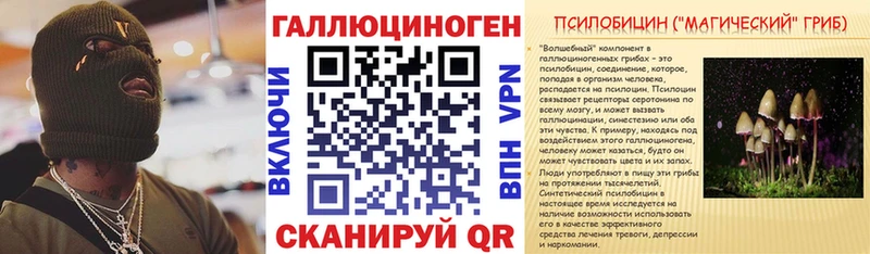 маркетплейс телеграм Красный Сулин Галлюциногенные грибы мицелий