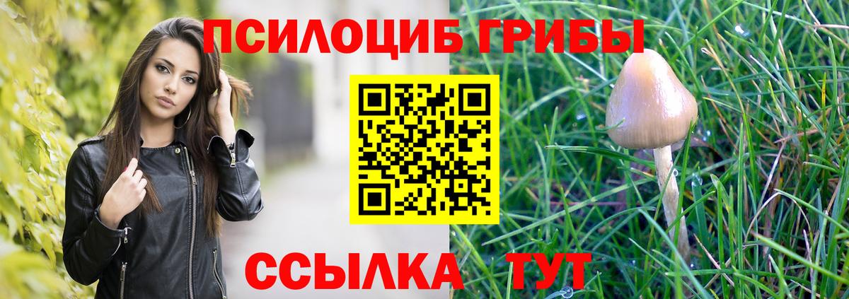 Псилоцибиновые грибы GOLDEN TEACHER  Галлюциногенные грибы GOLDEN TEACHER  Красный Сулин  Вход с VPN 